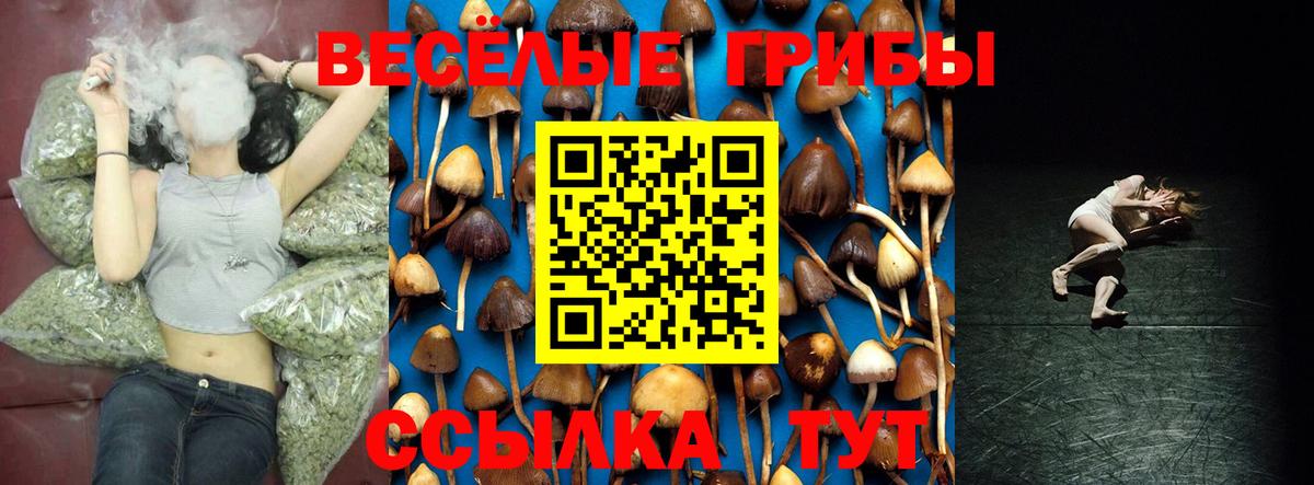Псилоцибиновые грибы прущие грибы Орехово-Зуево